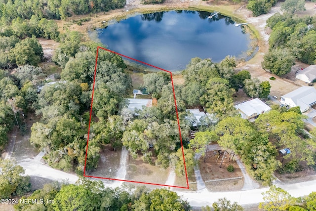 1099 SE 46th Loop, Keystone Heights, FL 32656 - photo 2
