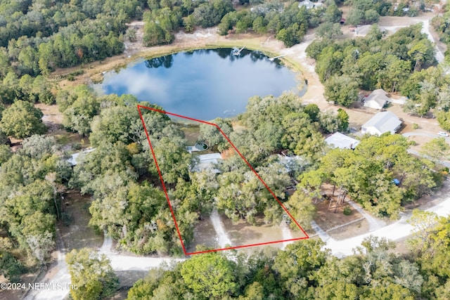 1099 SE 46th Loop, Keystone Heights, FL 32656 - photo 59