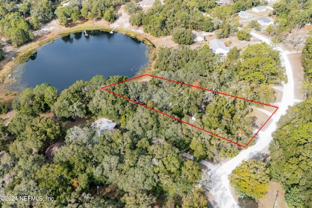 1099 SE 46th Loop, Keystone Heights, FL 32656 - photo 61