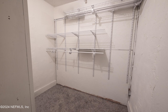 spacious closet featuring carpet