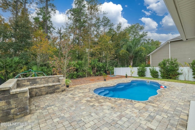 view of pool featuring a patio area