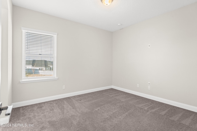 spare room with carpet flooring