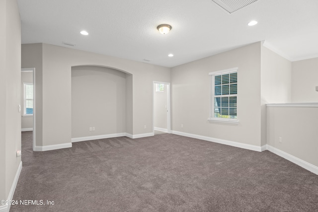 carpeted empty room featuring a healthy amount of sunlight