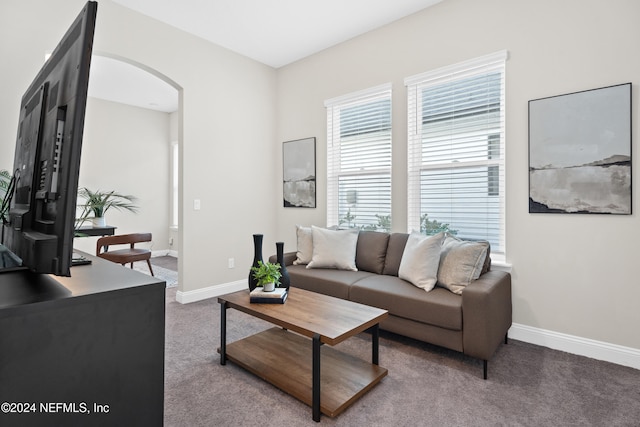 living room with carpet floors