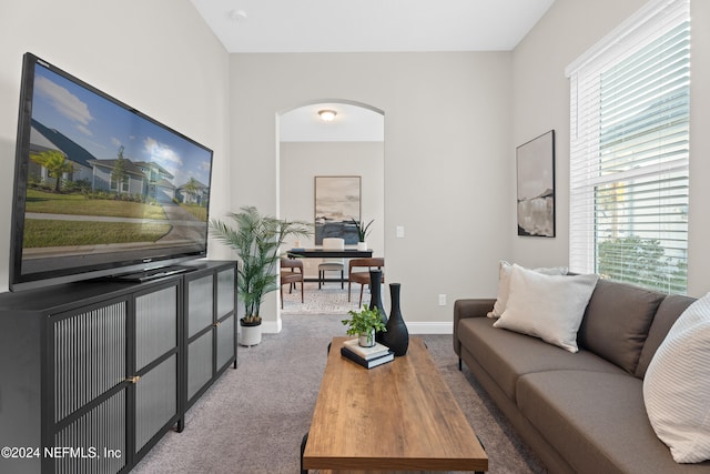 view of carpeted living room