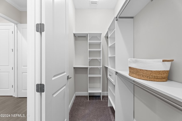 spacious closet with dark hardwood / wood-style floors