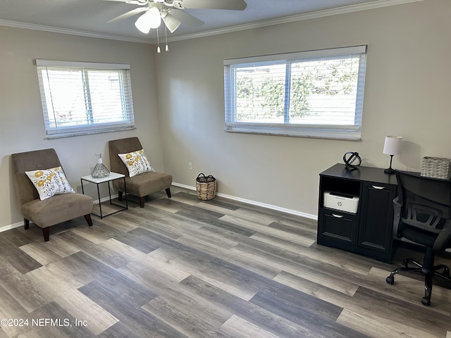 office space with plenty of natural light and ornamental molding