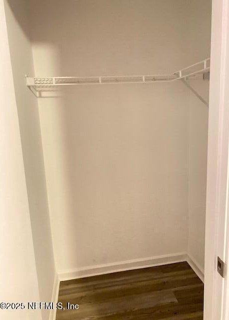 walk in closet with dark hardwood / wood-style floors