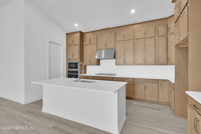 166 Blue Hampton Dr, Ponte Vedra, FL 32081 - kitchen with appliances with stainless steel finishes, a sink, under cabinet range hood, light wood-style flooring, and light countertops