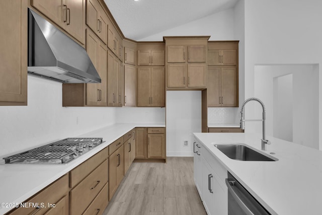 166 Blue Hampton Dr, Ponte Vedra, FL 32081 - kitchen with a sink, under cabinet range hood, stainless steel appliances, vaulted ceiling, and light wood-type flooring
