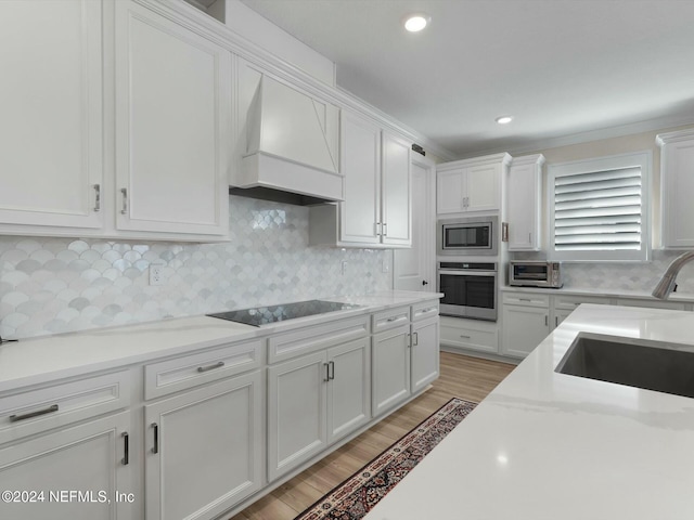 kitchen with white cabinetry, sink, premium range hood, and stainless steel appliances