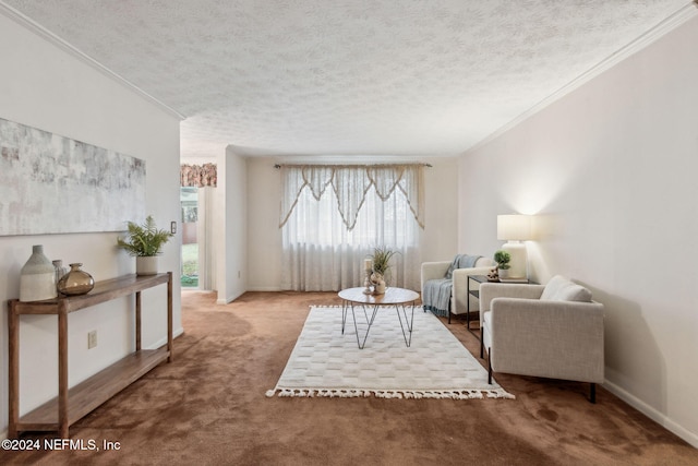 living area featuring a textured ceiling, carpet floors, and crown molding