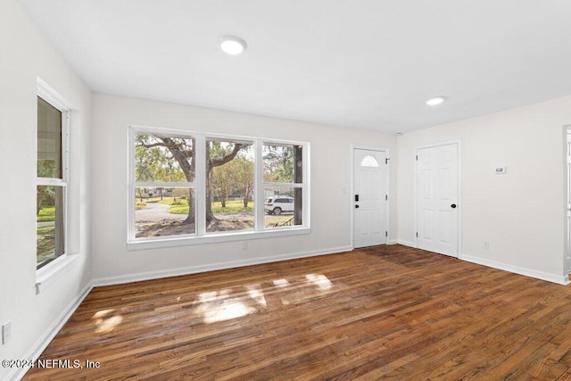 foyer entrance featuring dark hardwood / wood-style flooring