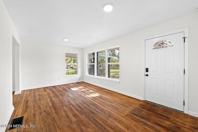 entrance foyer with dark wood-type flooring