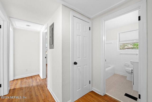 hallway featuring light hardwood / wood-style floors and tile walls