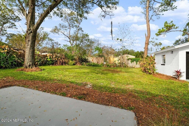 view of yard with a patio