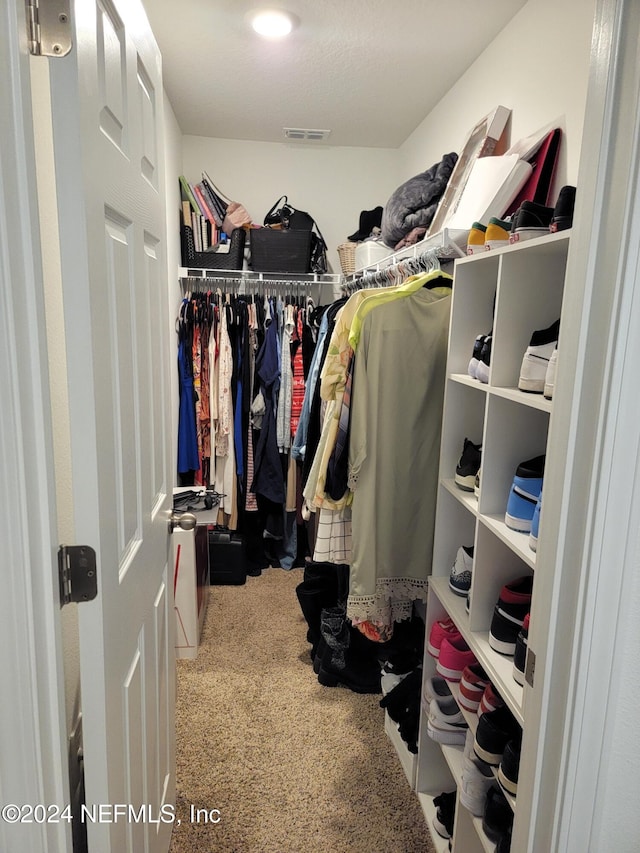 walk in closet featuring carpet floors