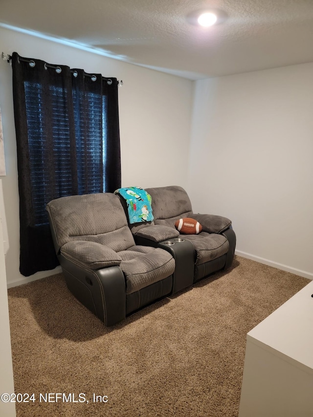 living room with carpet and a textured ceiling