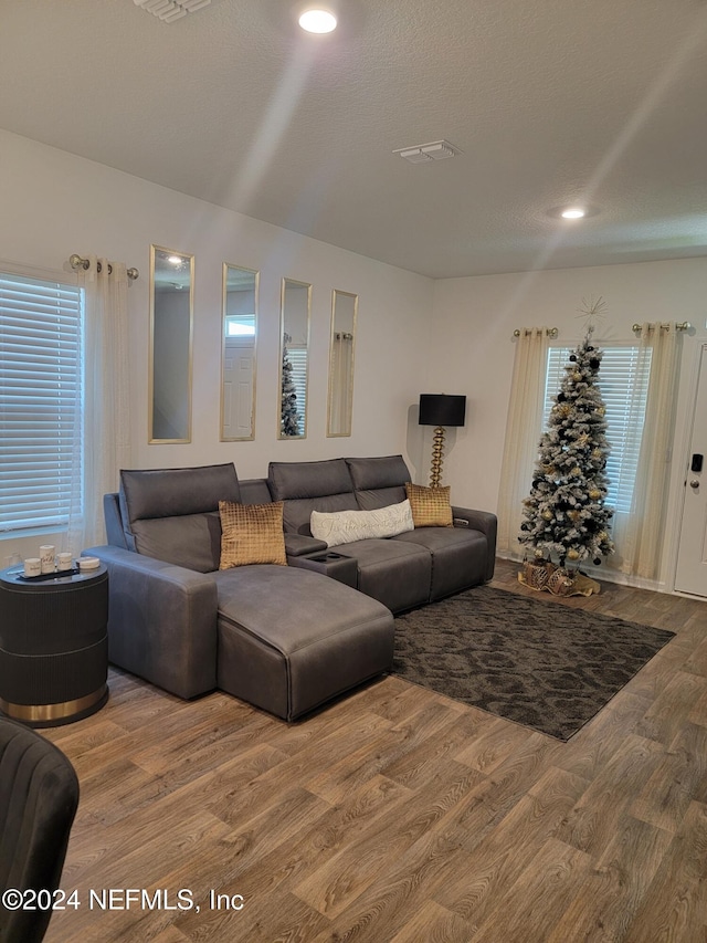 living room featuring wood-type flooring and a textured ceiling