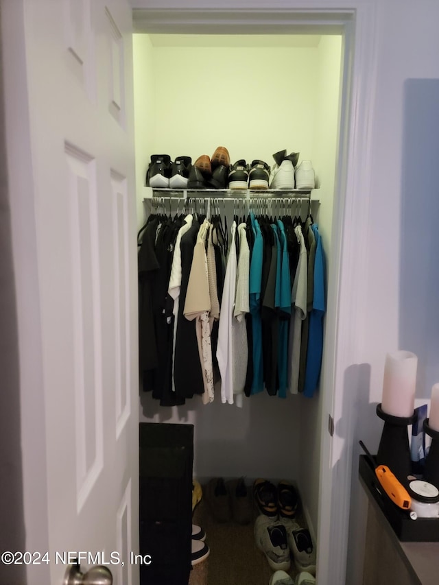 view of closet