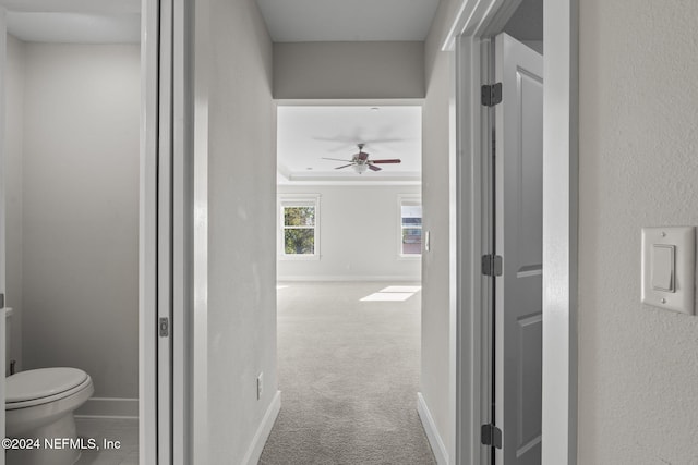 hallway featuring carpet floors