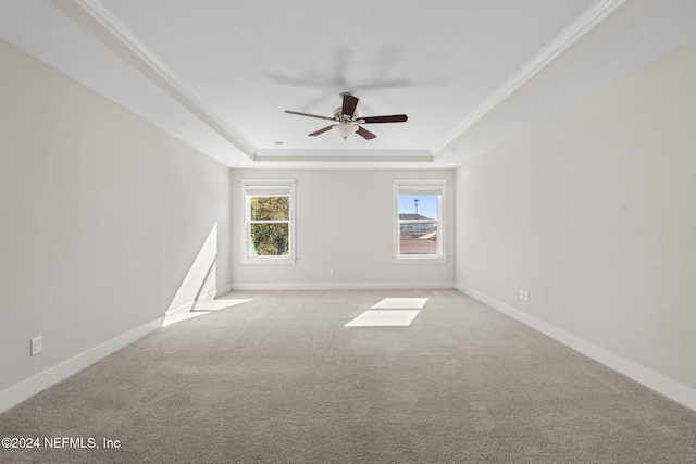 spare room featuring a raised ceiling, ornamental molding, and light carpet