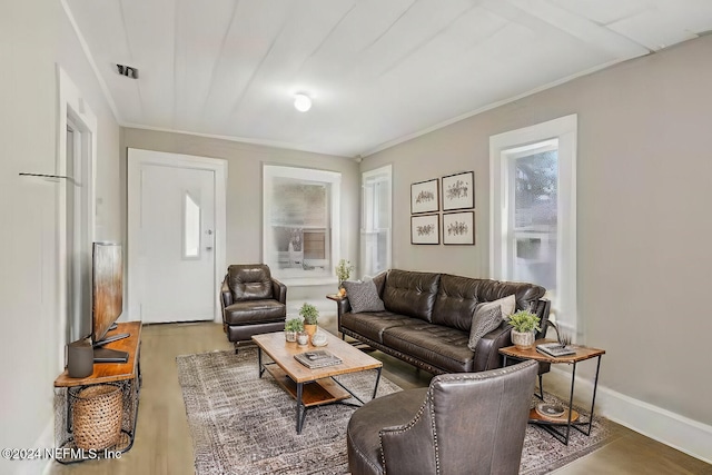 living room featuring plenty of natural light, wood-type flooring, and ornamental molding