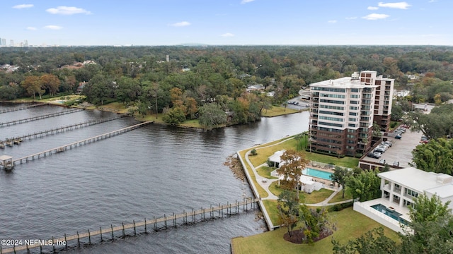 aerial view with a water view