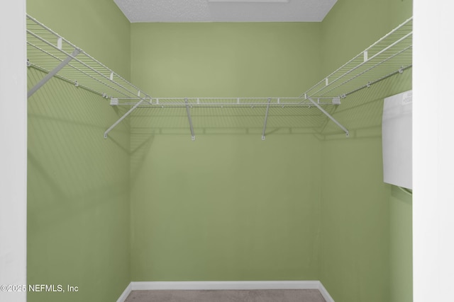 walk in closet featuring carpet