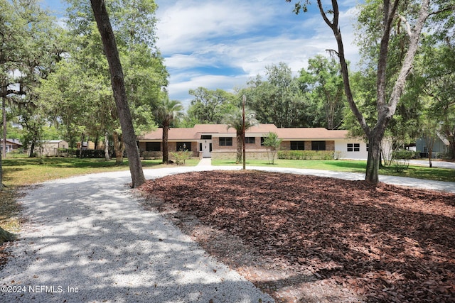 ranch-style house featuring a front yard