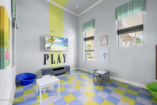 recreation room featuring crown molding and a high ceiling