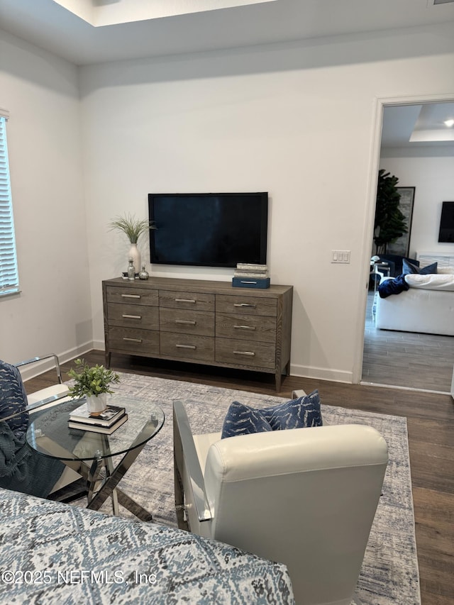 living room featuring a raised ceiling and hardwood / wood-style floors