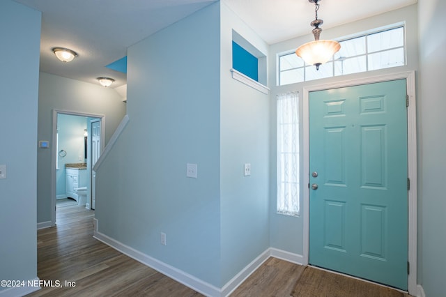 foyer featuring dark wood-type flooring and a wealth of natural light