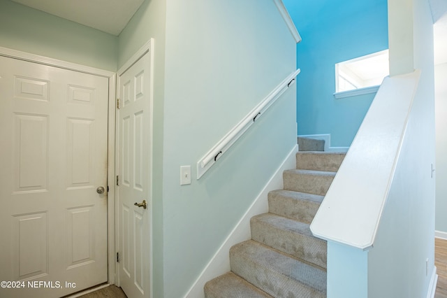 staircase with hardwood / wood-style flooring