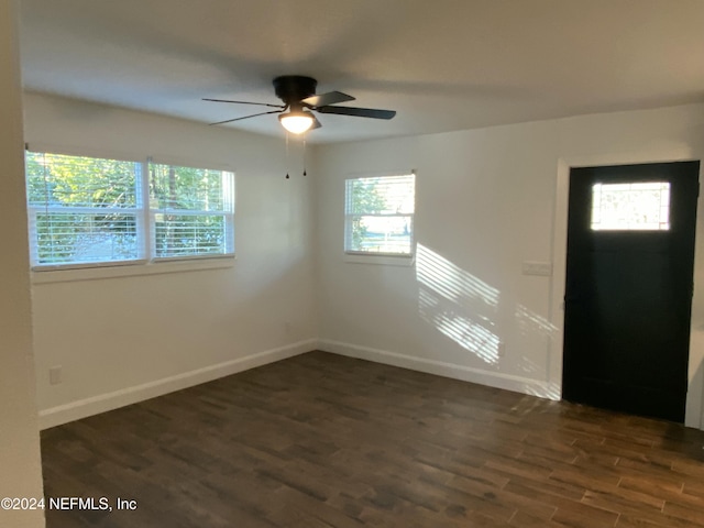 foyer with a wealth of natural light, ceiling fan, and dark hardwood / wood-style floors