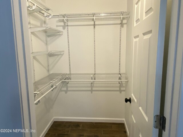 spacious closet featuring dark wood-type flooring