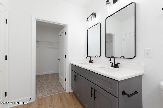 bathroom featuring hardwood / wood-style floors and vanity