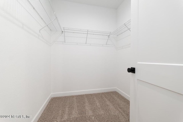 spacious closet with carpet flooring