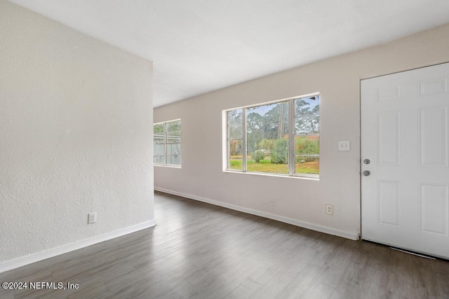 entrance foyer featuring dark wood-type flooring