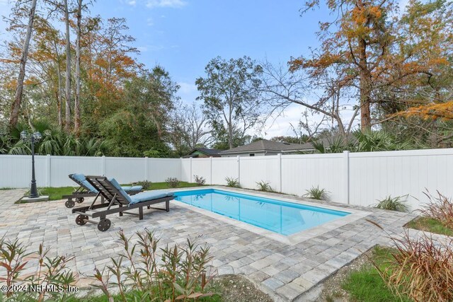 view of swimming pool featuring a patio