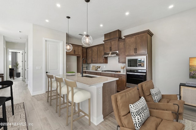 kitchen featuring sink, hanging light fixtures, light hardwood / wood-style flooring, an island with sink, and stainless steel appliances