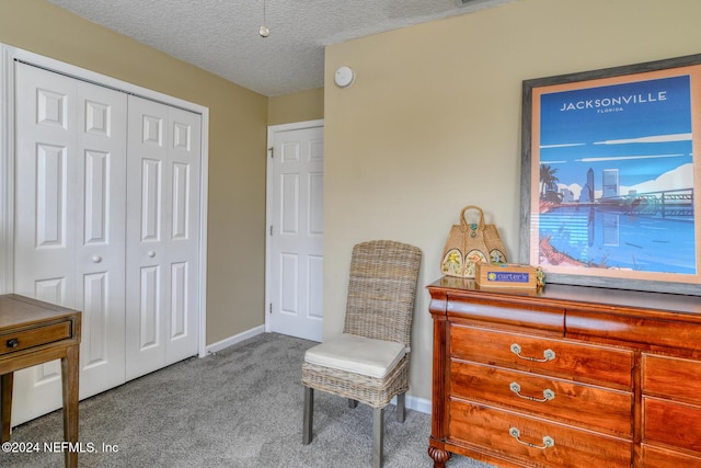 living area with carpet flooring and a textured ceiling