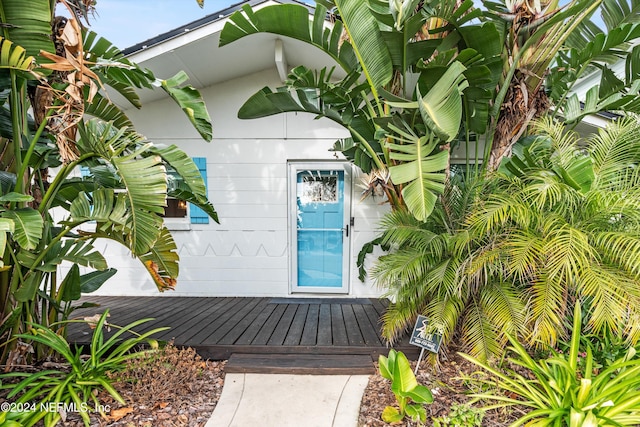 view of entrance to property