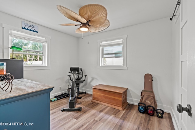 workout area featuring hardwood / wood-style floors and ceiling fan