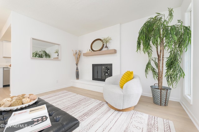 living room with light hardwood / wood-style floors and a brick fireplace