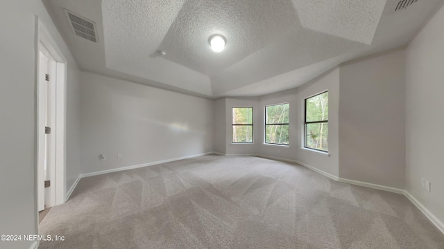 empty room featuring a tray ceiling, vaulted ceiling, light colored carpet, and a textured ceiling