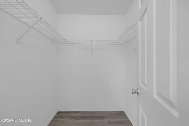 spacious closet featuring wood-type flooring