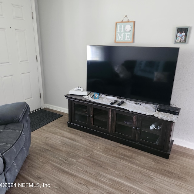 living room featuring light hardwood / wood-style floors