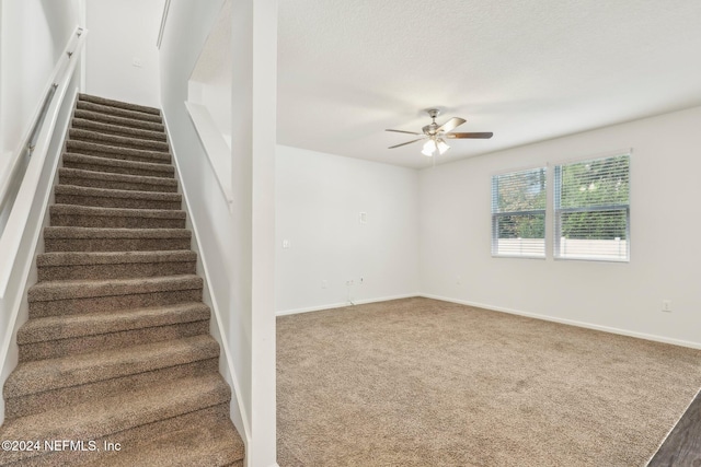 stairway featuring ceiling fan and carpet floors