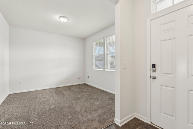 view of carpeted foyer